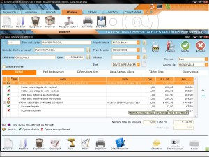 exemple de devis avec option