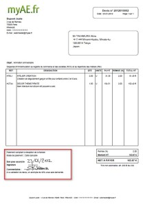 exemple de devis ae