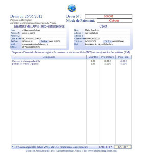 exemple de devis ae