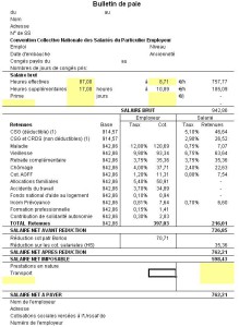 exemple de devis d aide a domicile