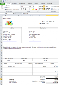 exemple de devis proforma
