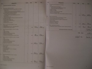 exemple de devis baie vitree