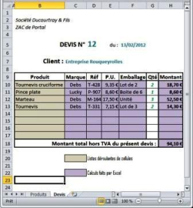 exemple de devis pour voyage
