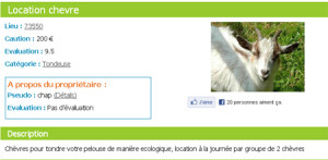 exemple de devis tonte pelouse