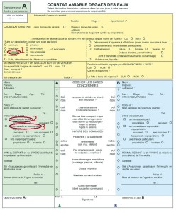 exemple de devis pour degat des eaux