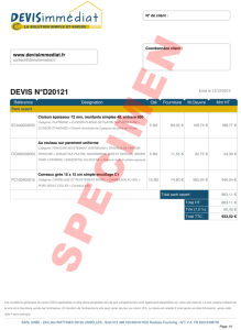 exemple de devis velux