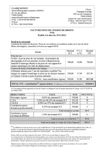 exemple de devis prestation artistique