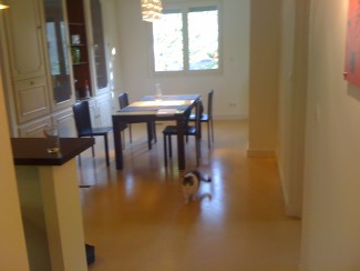 exemple de devis vitrification parquet