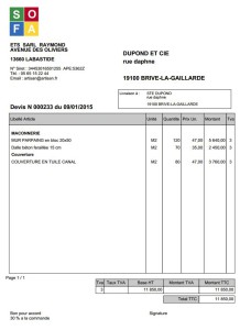 exemple de devis voiture