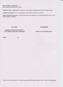 exemple de devis artistique