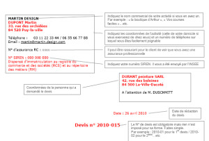 exemple de devis pour un auto entrepreneur