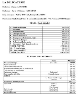 exemple de devis cinema