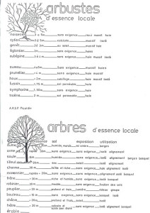 exemple de devis d abattage
