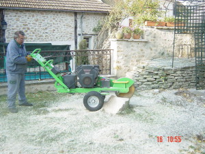 exemple de devis taille de haie