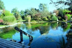 exemple de devis piscine naturelle