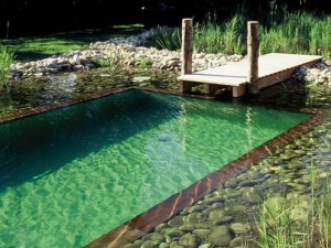 exemple de devis piscine naturelle
