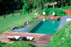 exemple de devis piscine naturelle