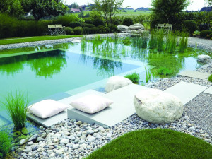 exemple de devis piscine naturelle