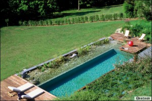 exemple de devis piscine naturelle
