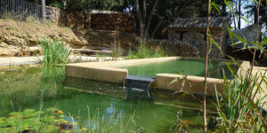 exemple de devis piscine naturelle