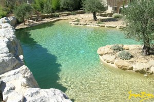 exemple de devis piscine naturelle