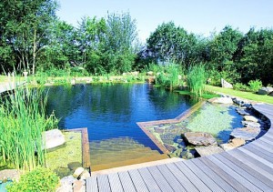exemple de devis piscine naturelle