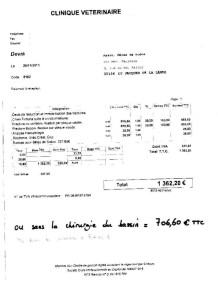exemple de devis association