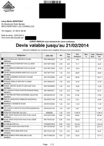 exemple de devis leroy merlin