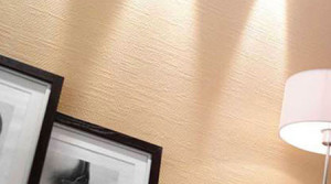 exemple de devis pose toile de verre