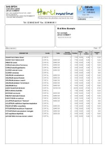 exemple de devis site web pdf