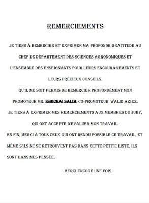 Exemple de remerciement rapport pfe